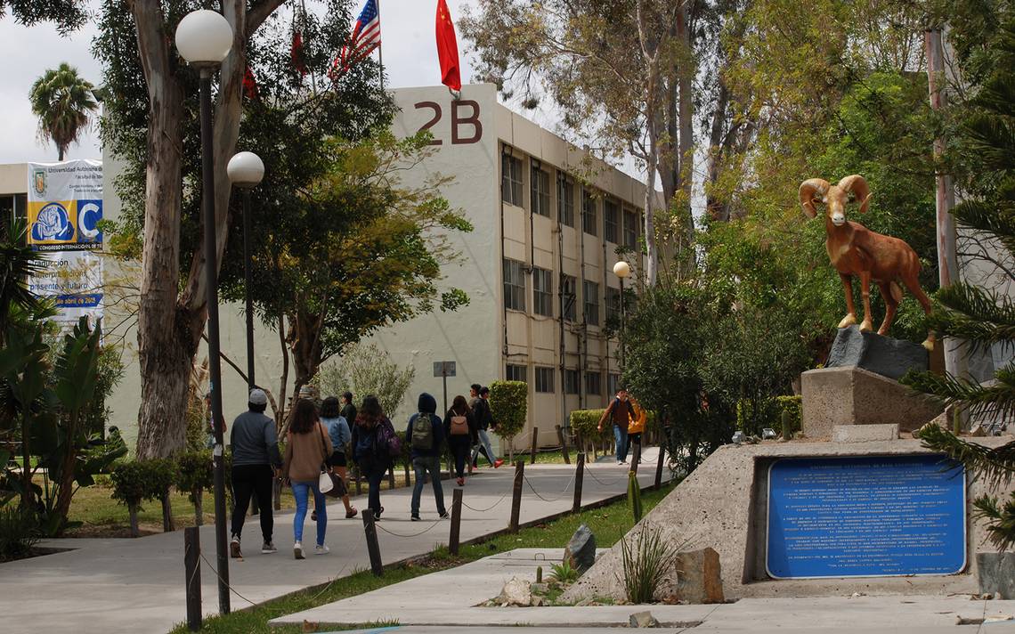 72% młodych ludzi odrzuconych z UABC chciało studiować medycynę – El Sol de Tijuana